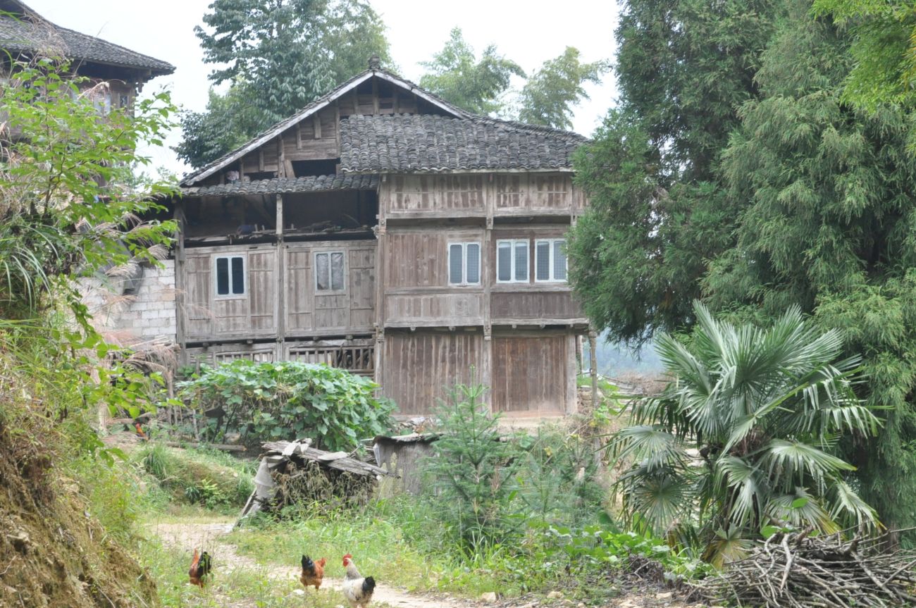 Рисовые террасы Дажай, image of landscape/habitat.