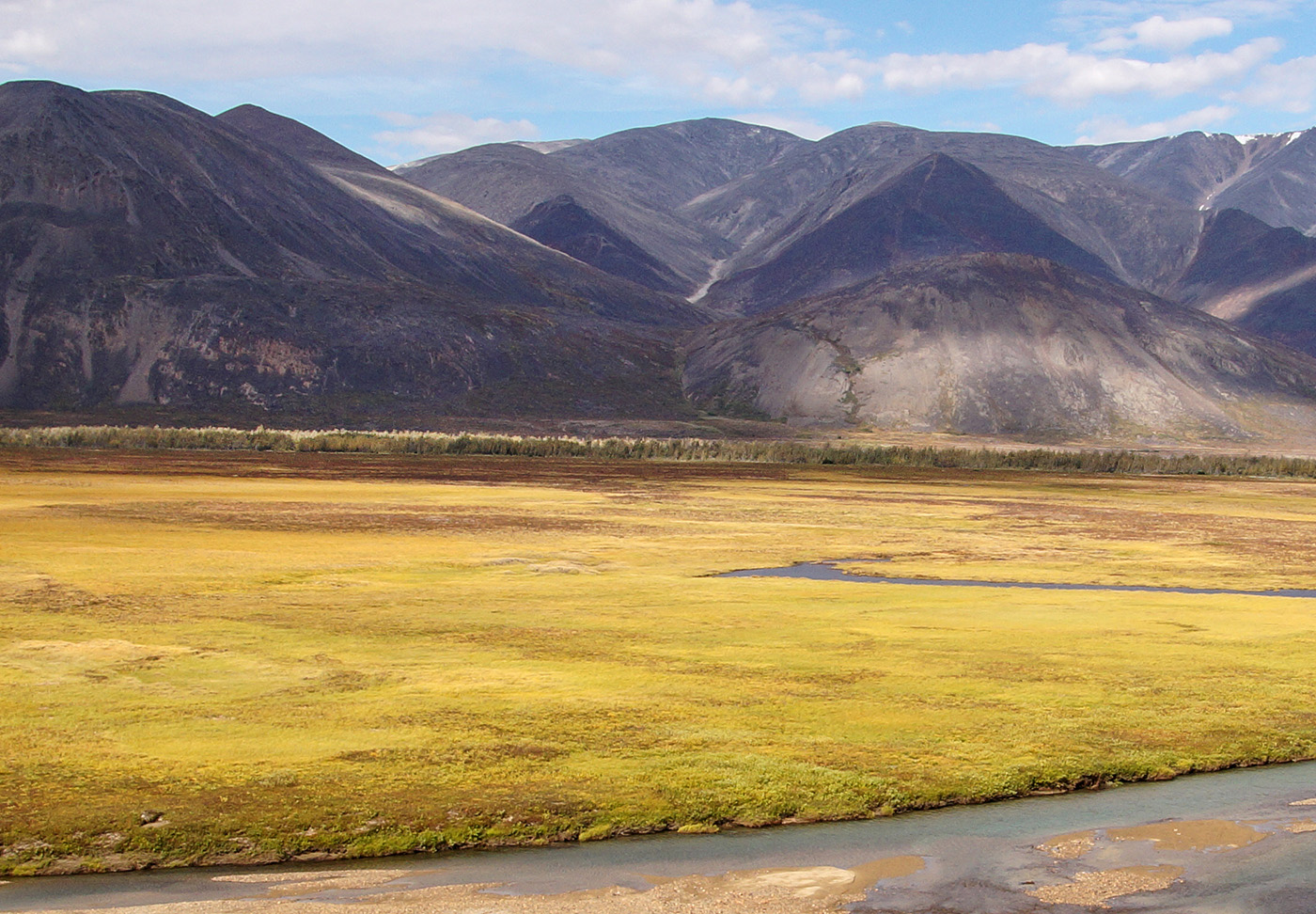 Телекайская роща, image of landscape/habitat.