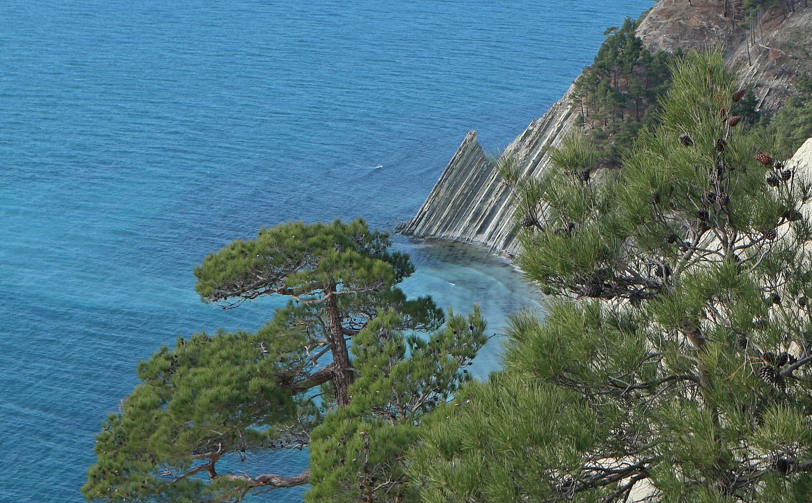 Дооб, image of landscape/habitat.