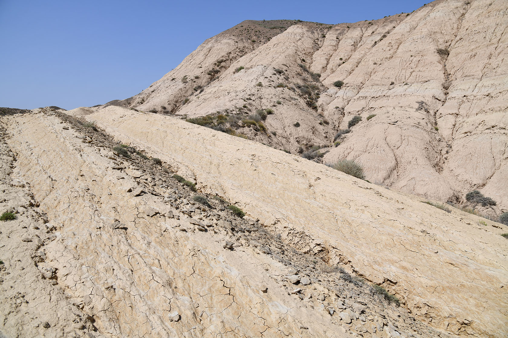 Бала-Богуты, image of landscape/habitat.