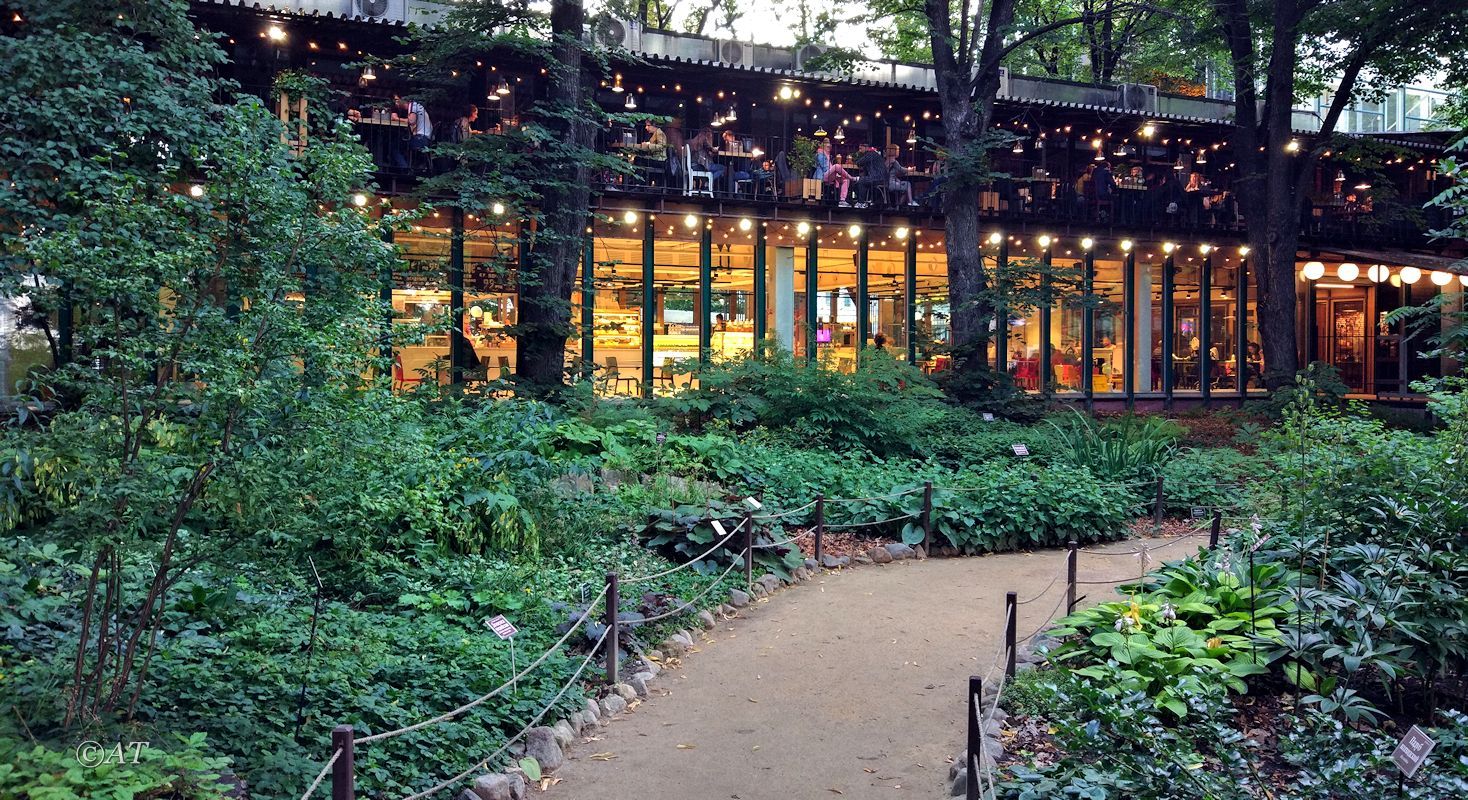 Аптекарский огород, image of landscape/habitat.