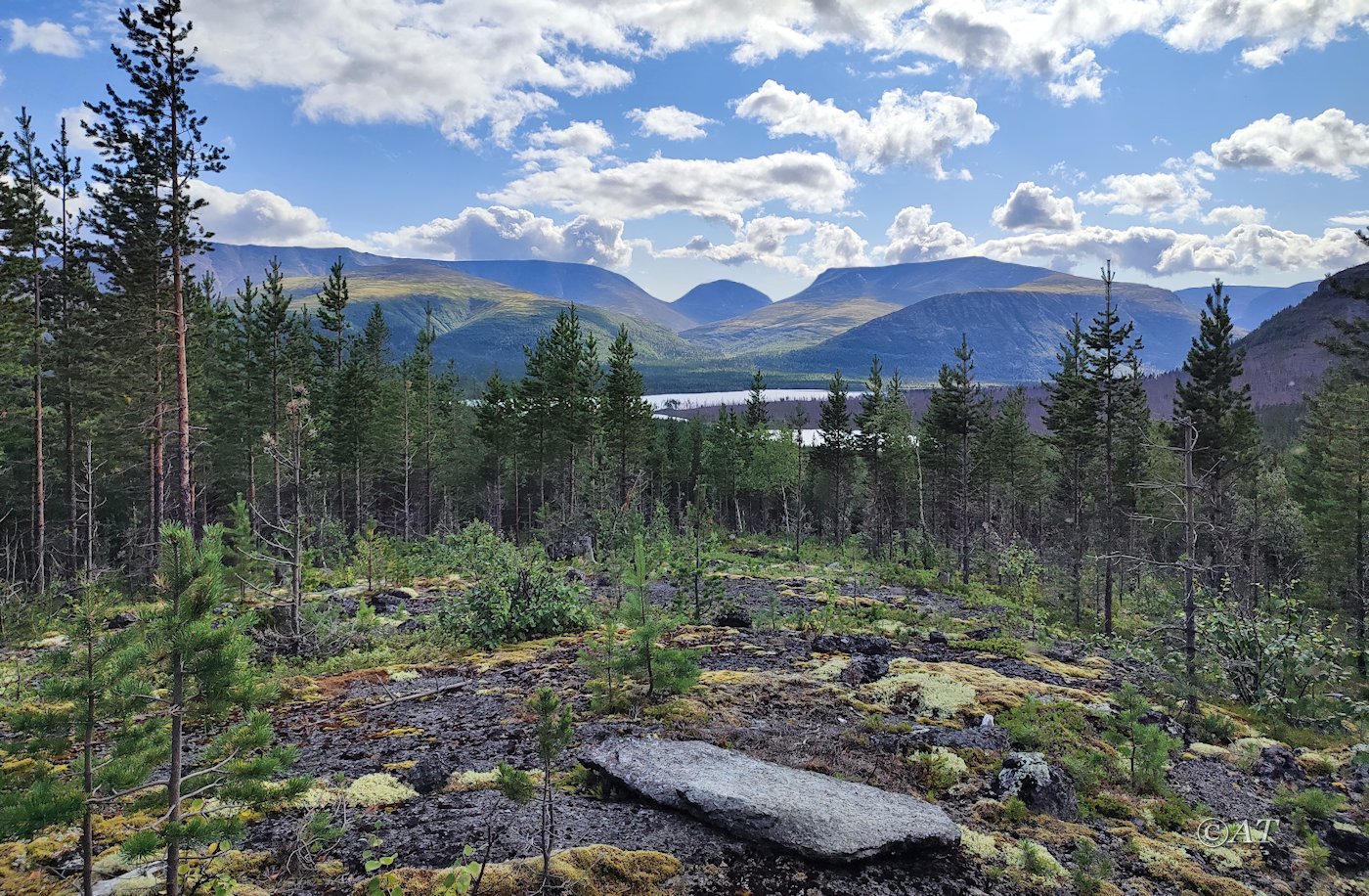 Сев.подножие хребта Путелличорр, image of landscape/habitat.