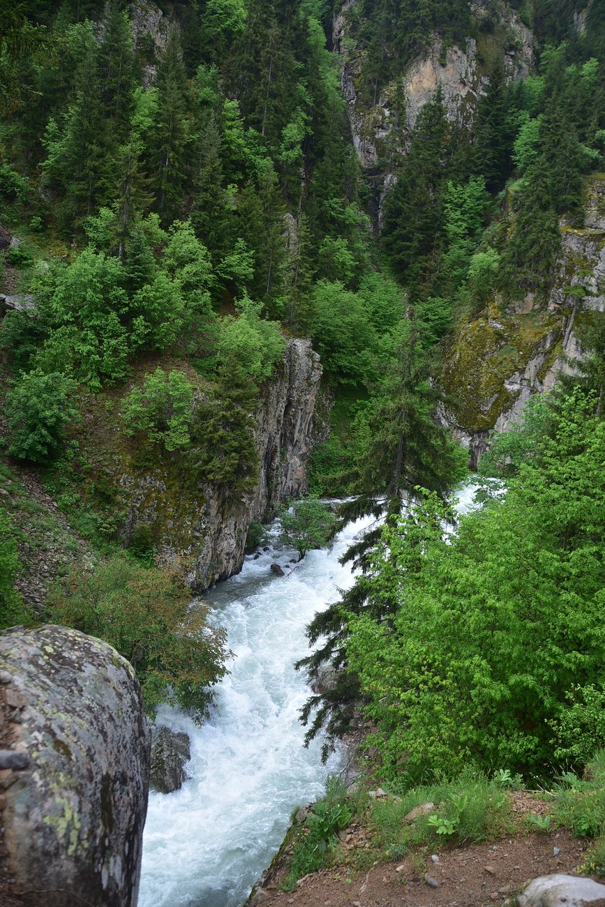 Водопад на притоке, image of landscape/habitat.