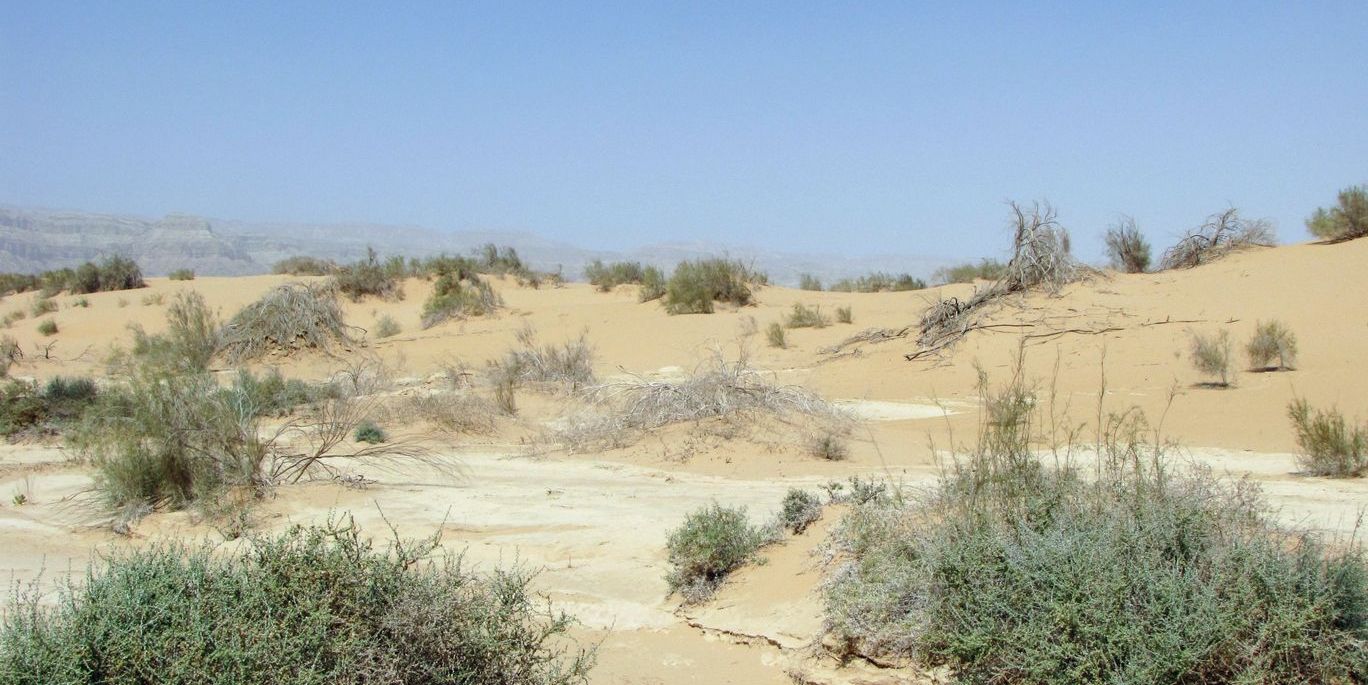 Эмек Арава, image of landscape/habitat.