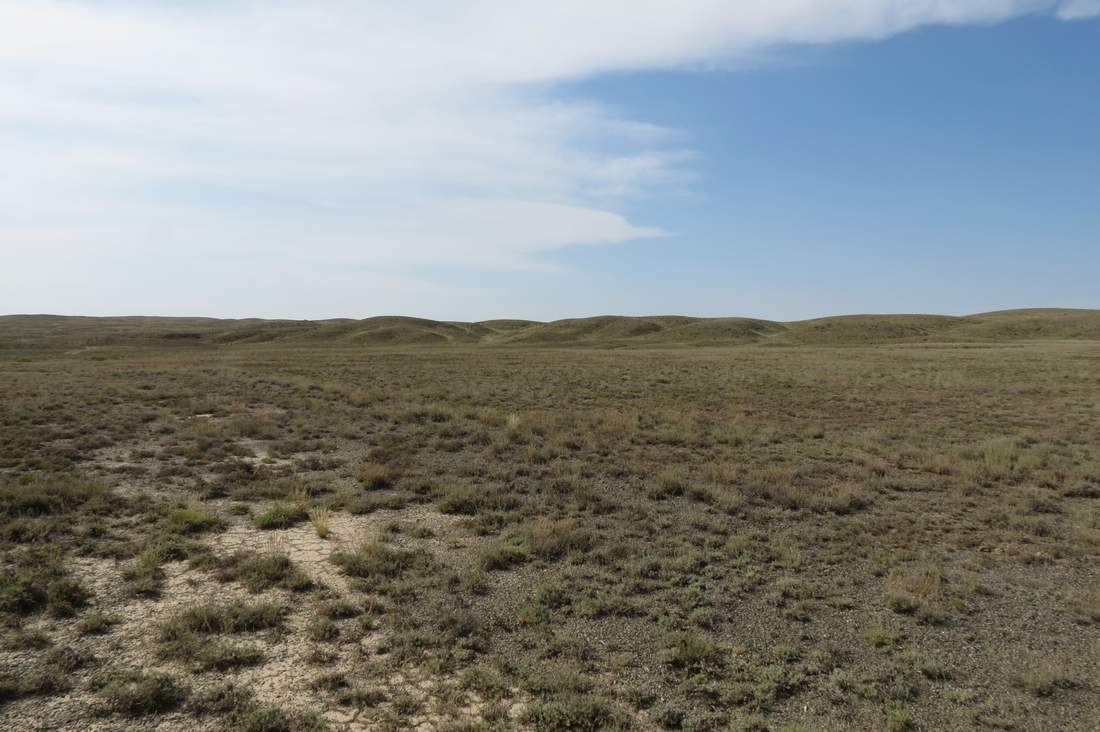 Бугор Жаксыбулак, image of landscape/habitat.