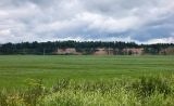 Image of landscape