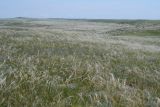 Image of landscape