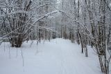 Дудергофские высоты, изображение ландшафта.