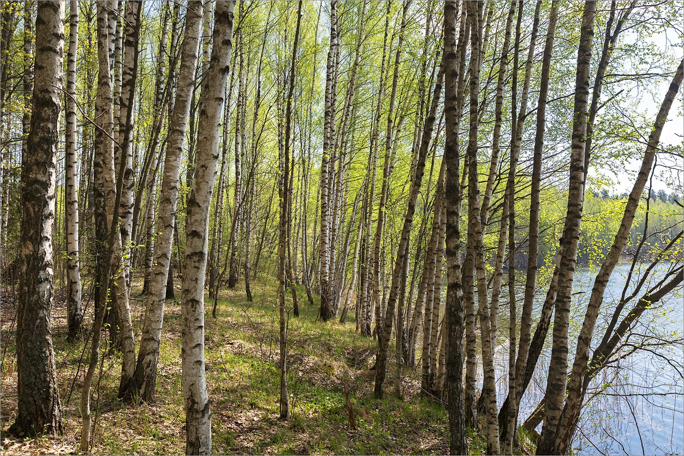 Верято, image of landscape/habitat.