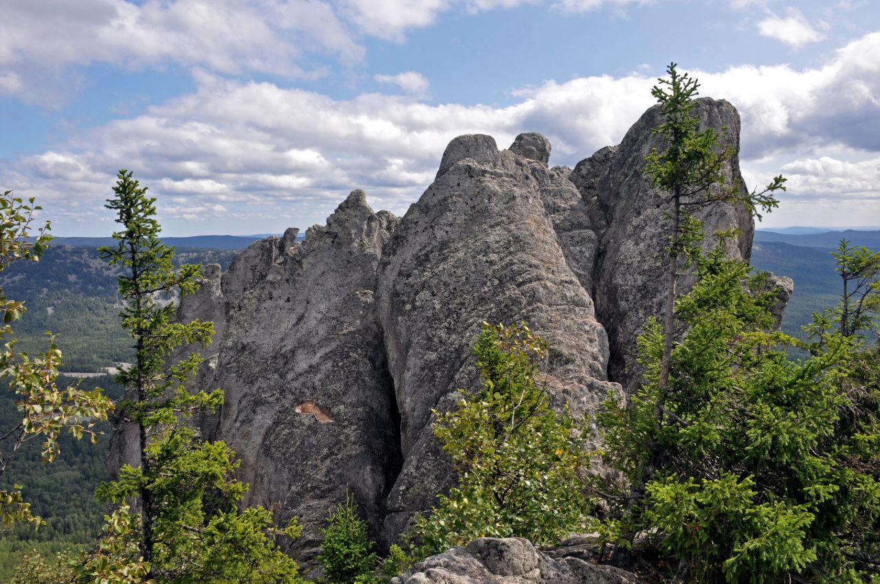 Двуглавая сопка, image of landscape/habitat.