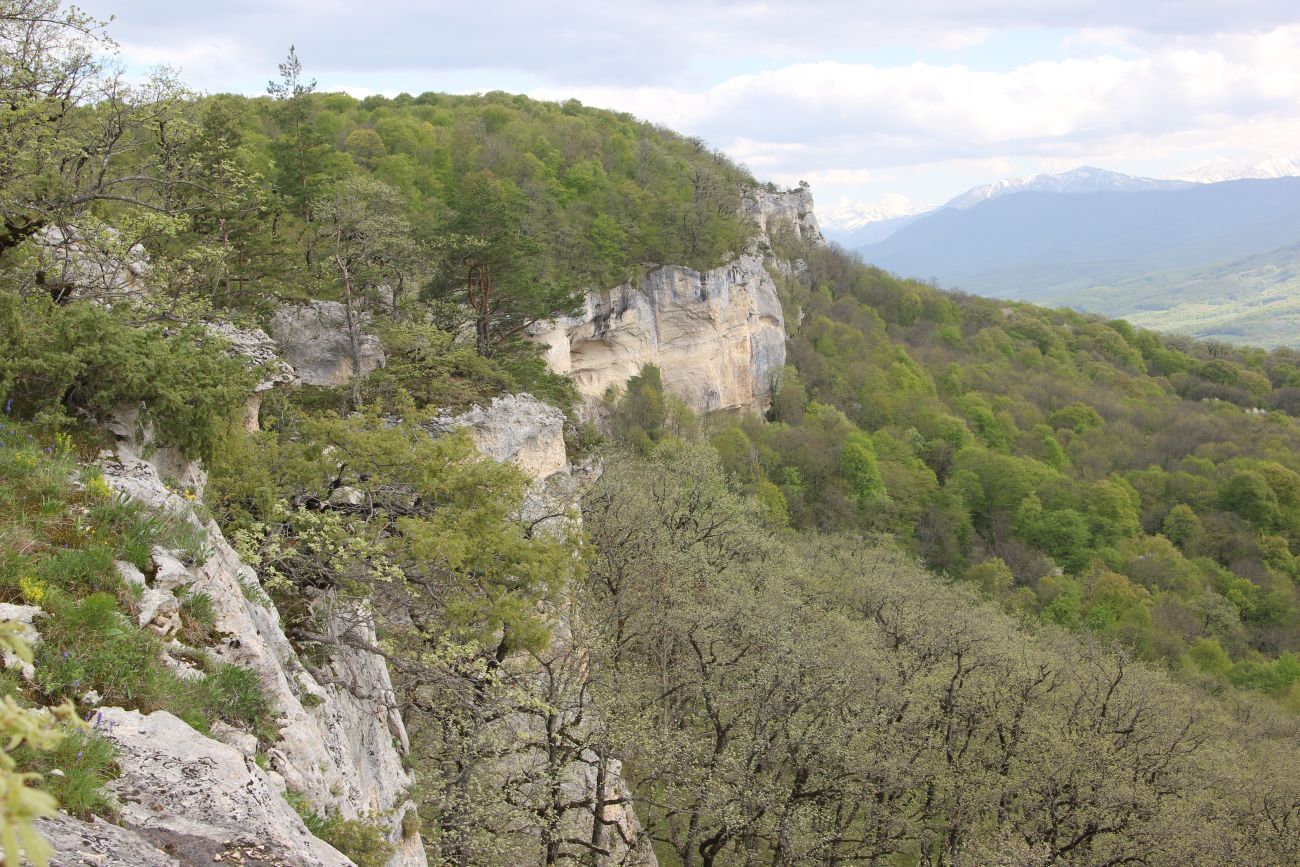 Хребет Уна-Коз, image of landscape/habitat.