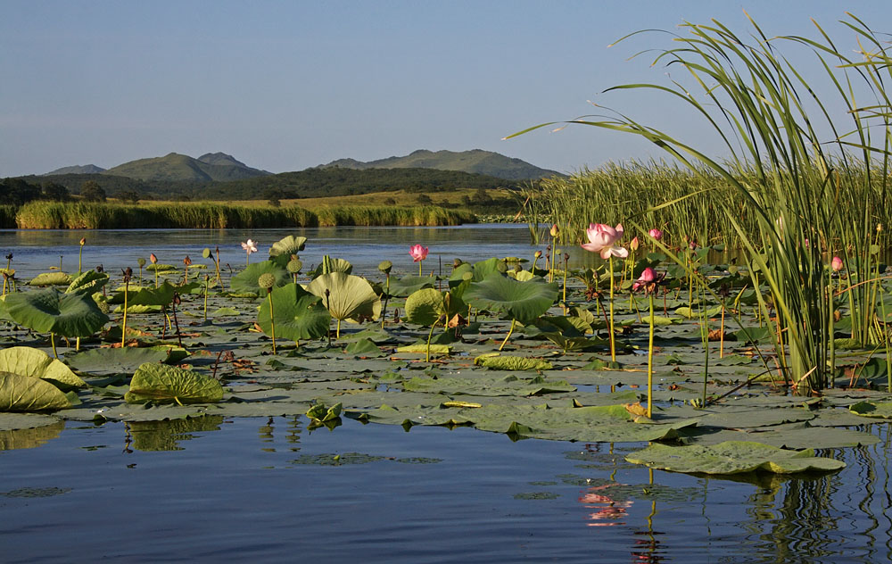 Озеро Лотос, изображение ландшафта.