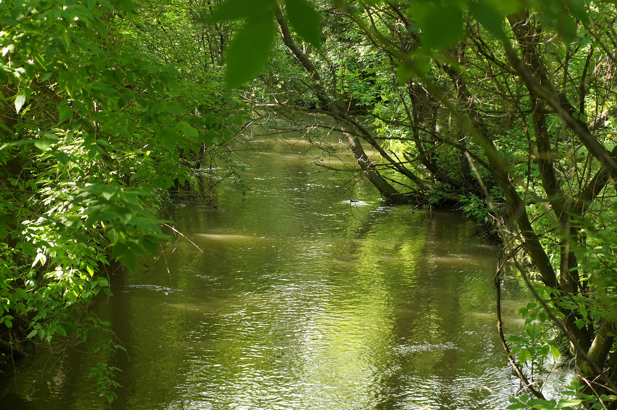 Верховье реки Кальмиус, image of landscape/habitat.
