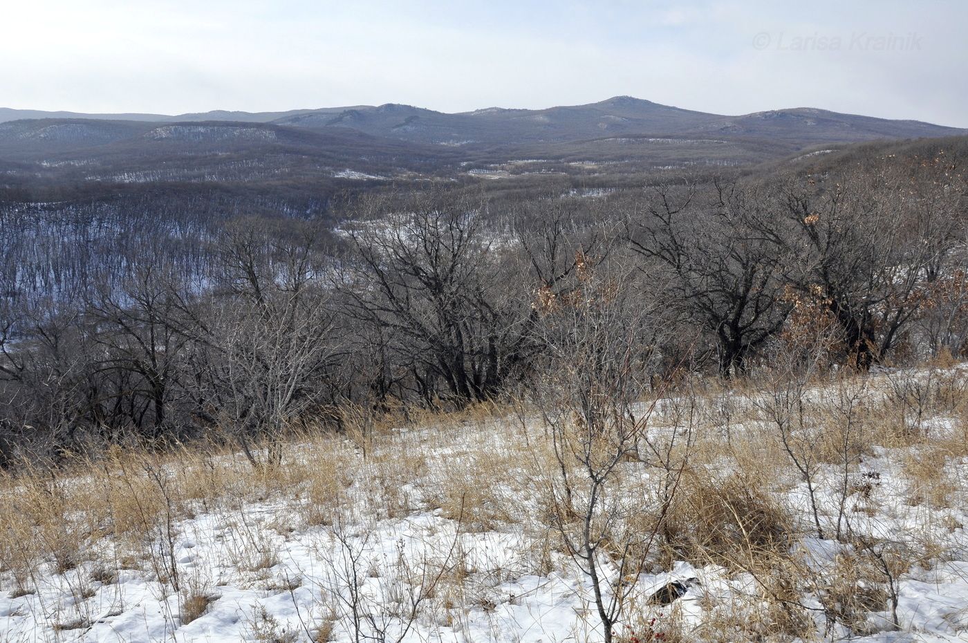 Монакино, image of landscape/habitat.