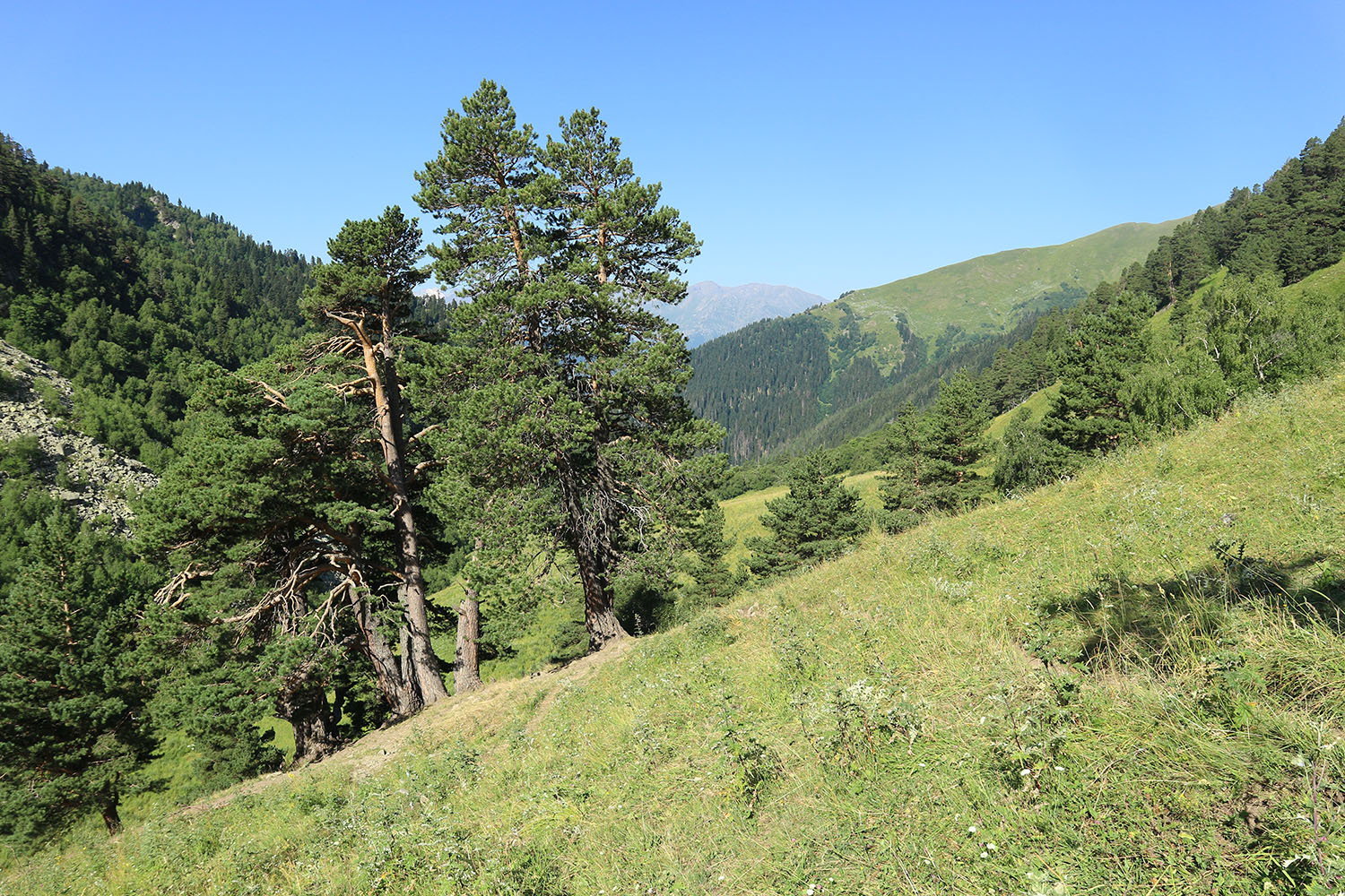 Долина реки Загедан, image of landscape/habitat.