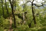 Image of landscape