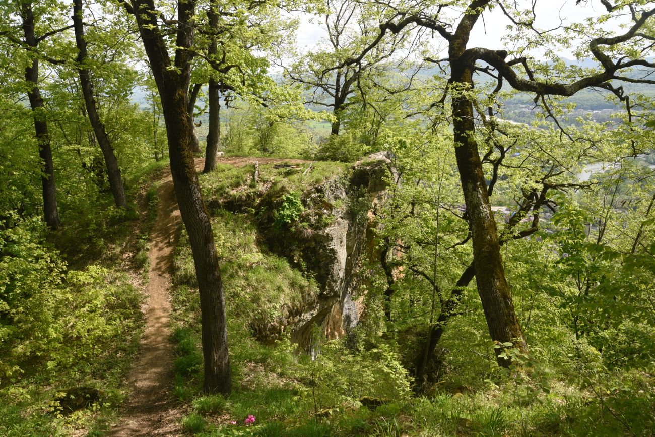 Скала Танковый Люк, image of landscape/habitat.