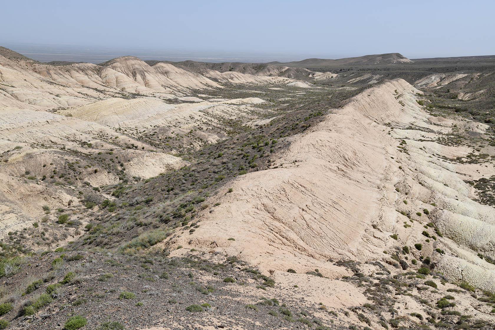 Бала-Богуты, image of landscape/habitat.