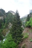 Image of landscape