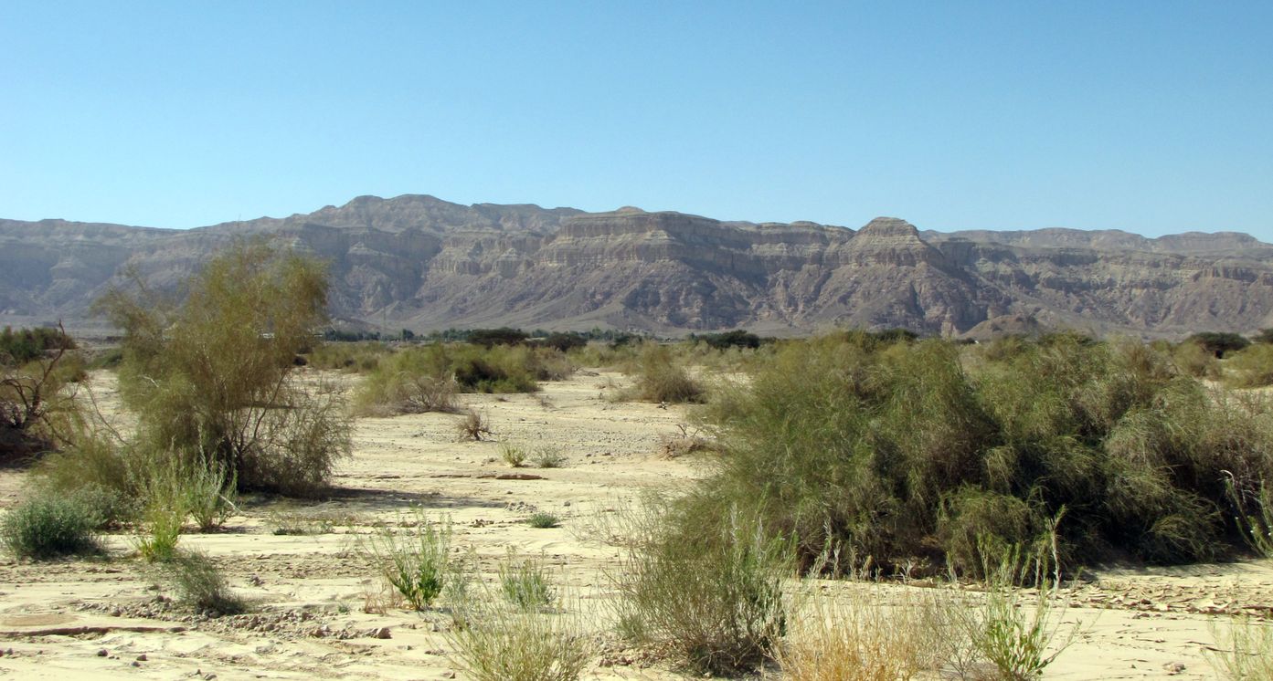 Эмек Арава, image of landscape/habitat.