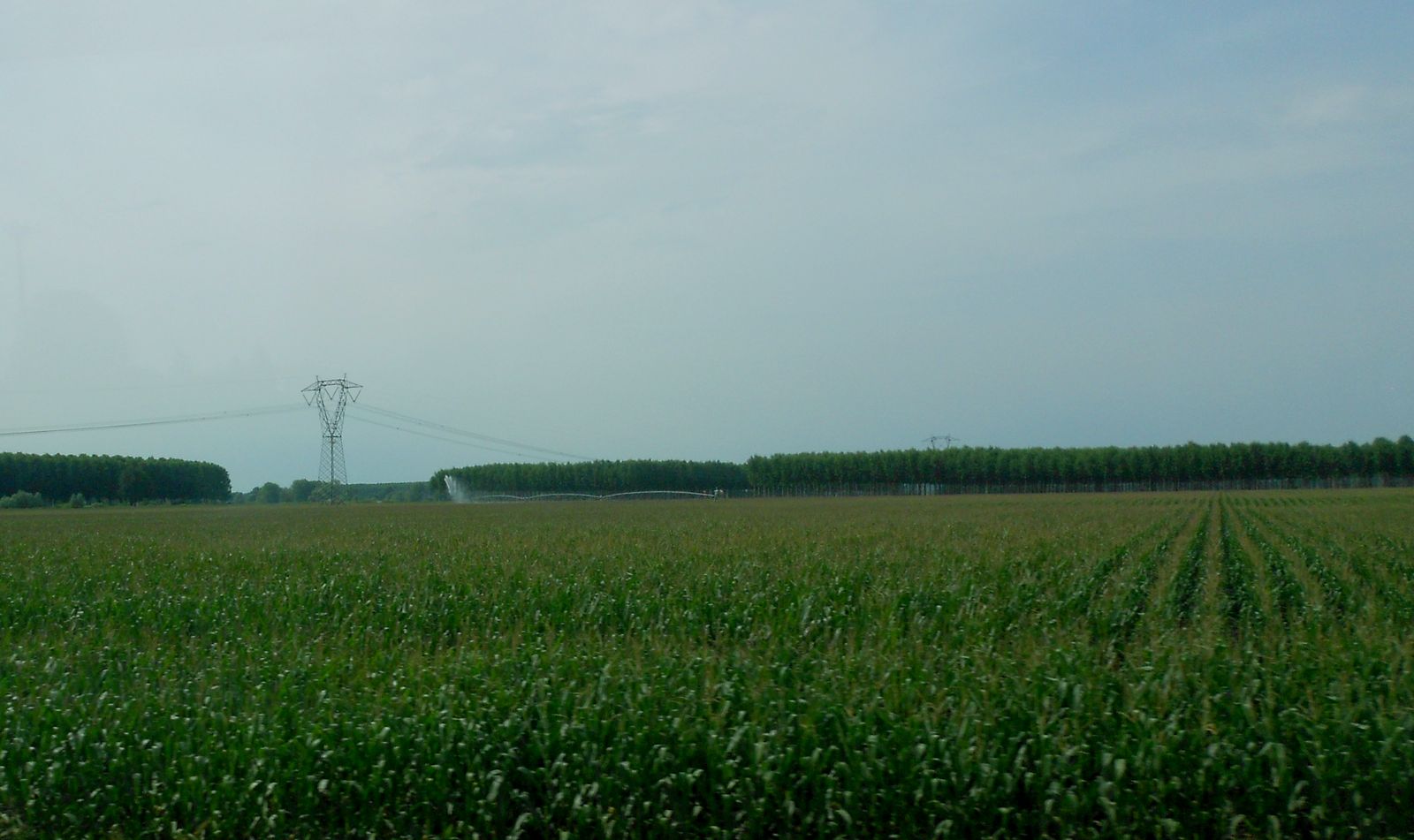 Верона и окрестности, image of landscape/habitat.