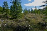 Landscape image