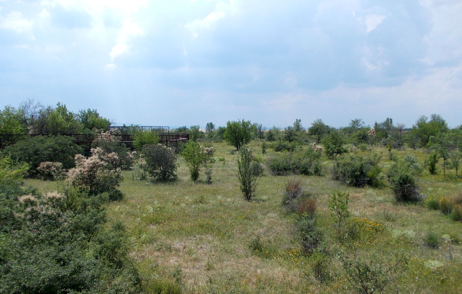 Тайган, image of landscape/habitat.