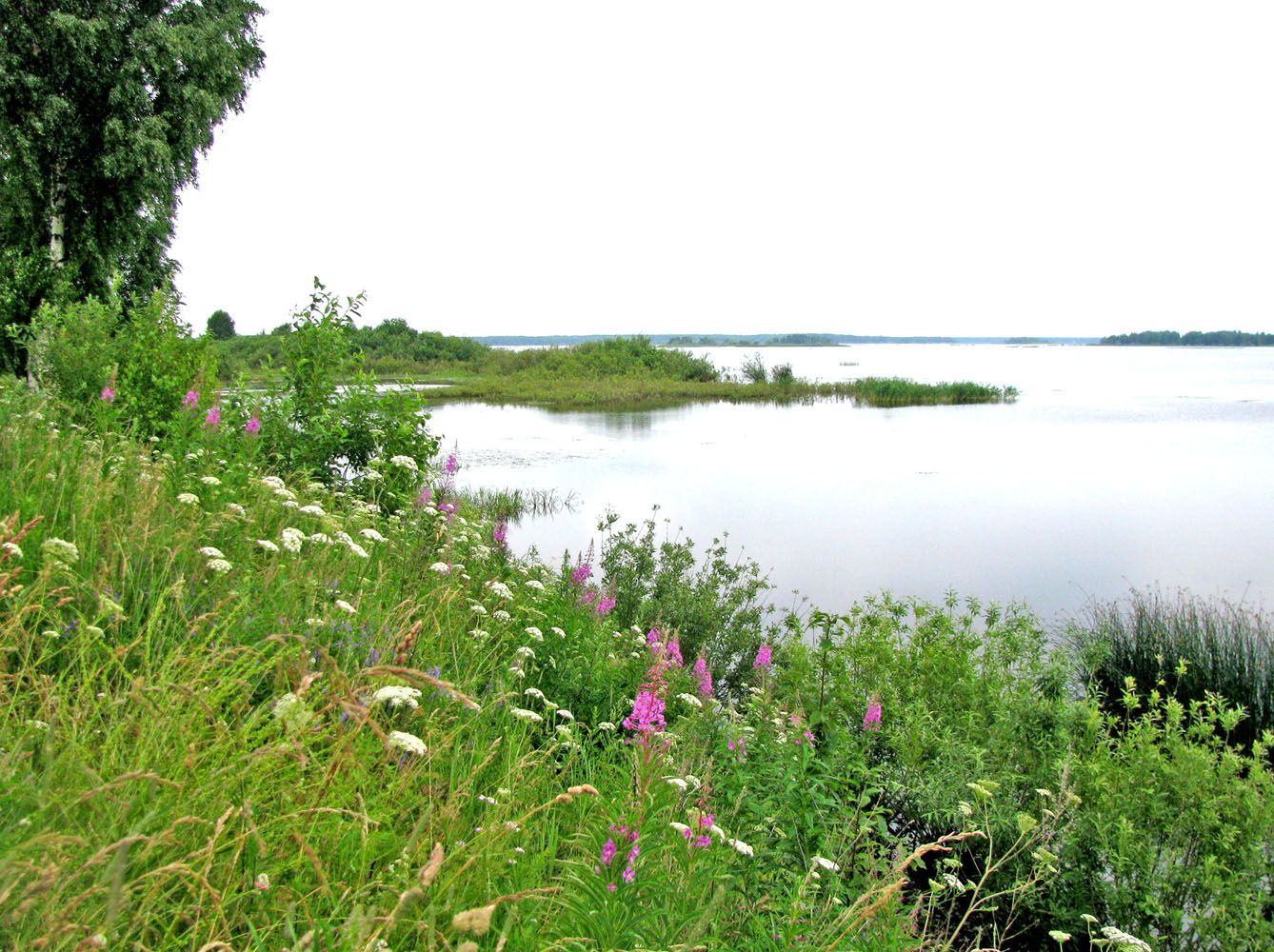 Рыбинское водохранилище, изображение ландшафта.