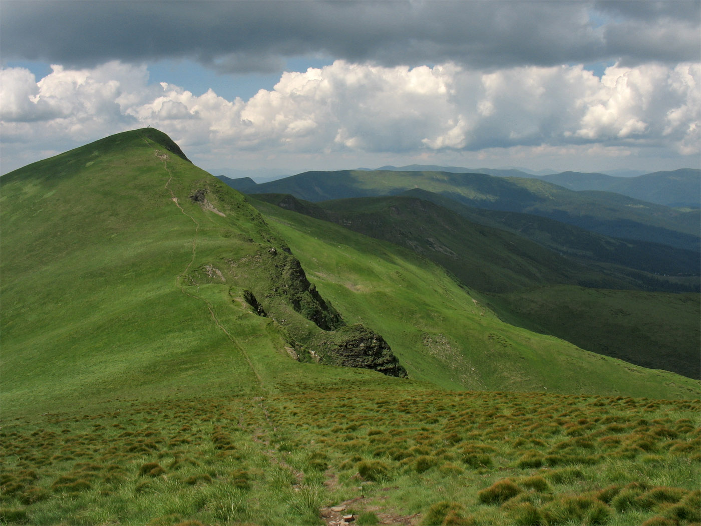 Высокогорья Свидовца, image of landscape/habitat.