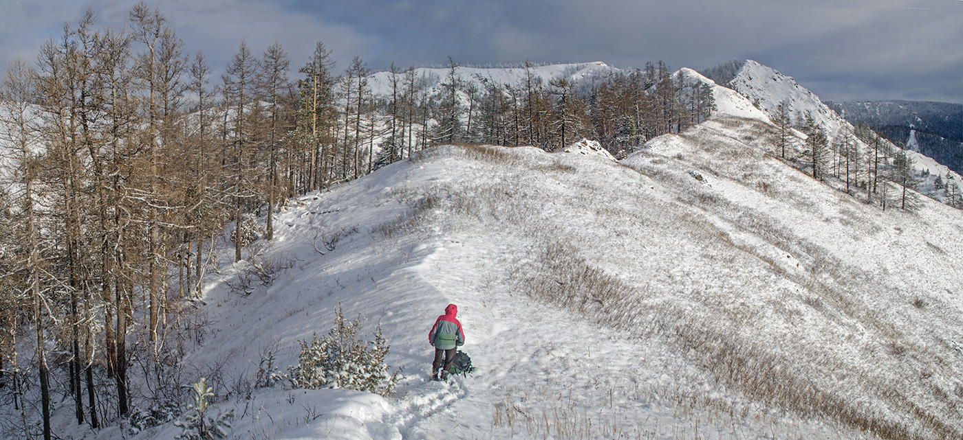 Хребет Суртанды, image of landscape/habitat.