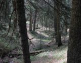 Image of landscape