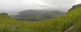 Image of landscape