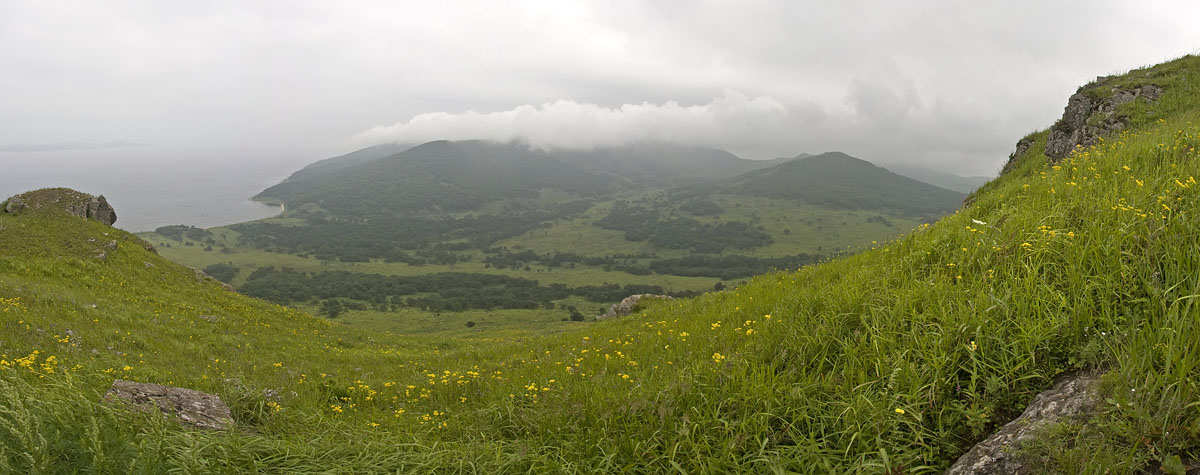 Тальми, image of landscape/habitat.