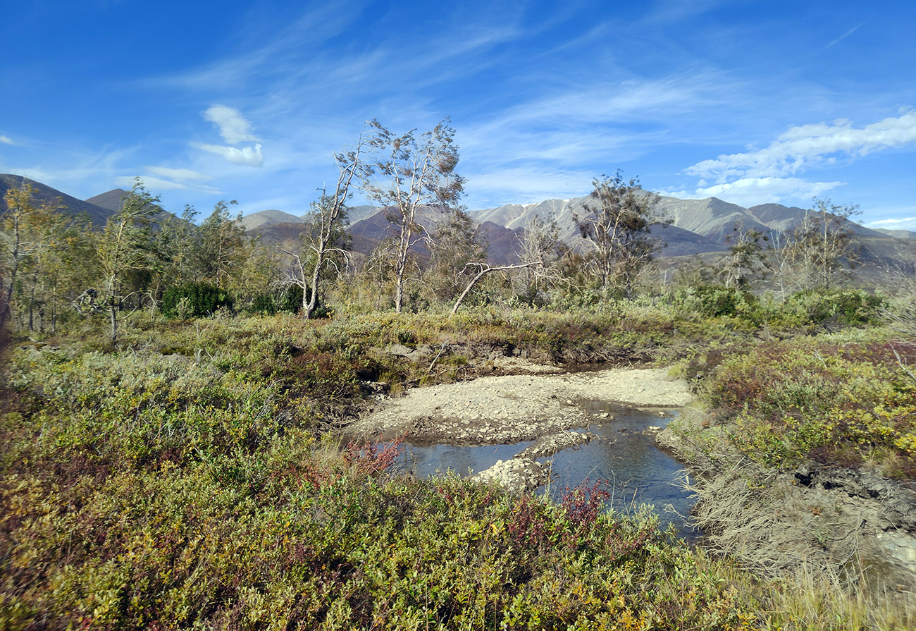 Телекайская роща, image of landscape/habitat.