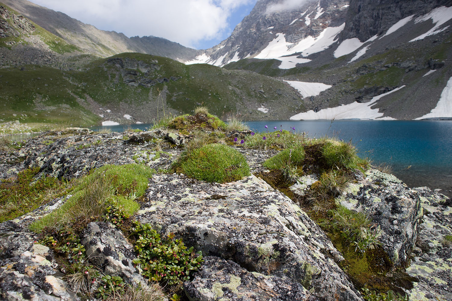Озеро Тихое, image of landscape/habitat.