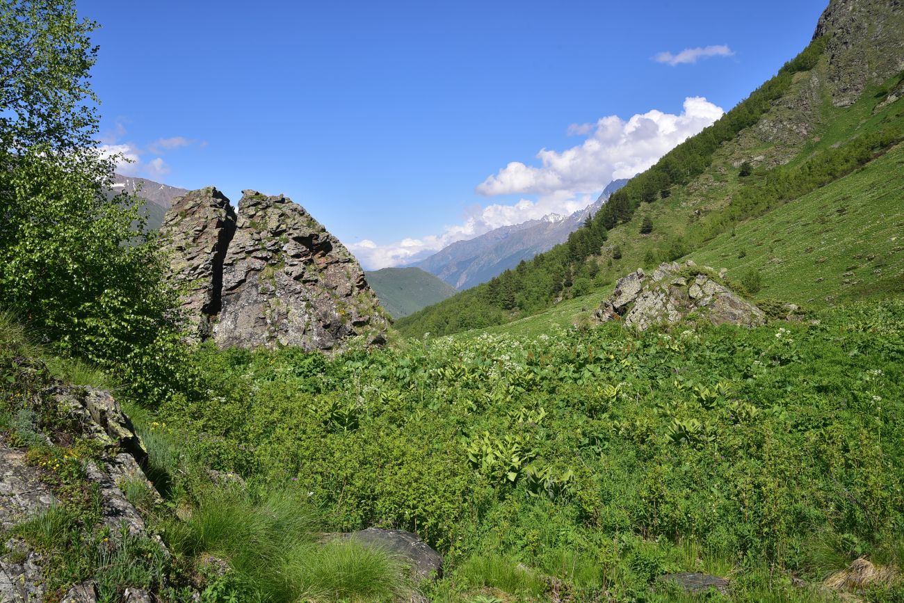 Река Когутайка, image of landscape/habitat.