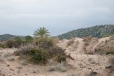 Image of landscape