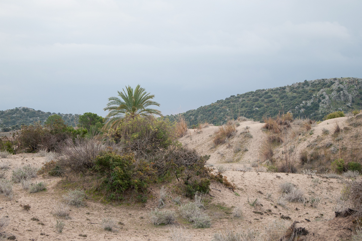 Пляж Чайагзы, image of landscape/habitat.