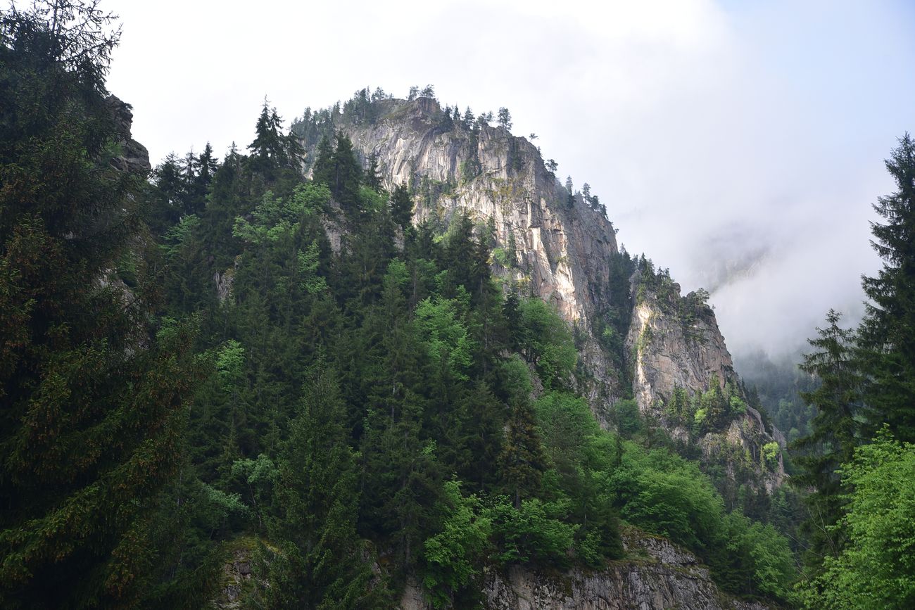 Водопад на притоке, image of landscape/habitat.