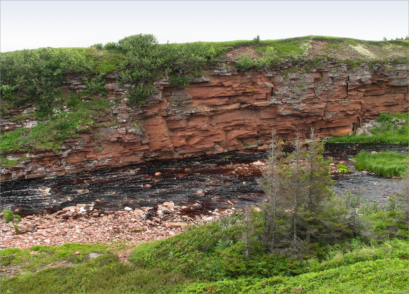 Аметистовый берег, image of landscape/habitat.