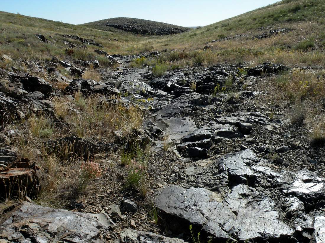 Бугор Жаксыбулак, image of landscape/habitat.