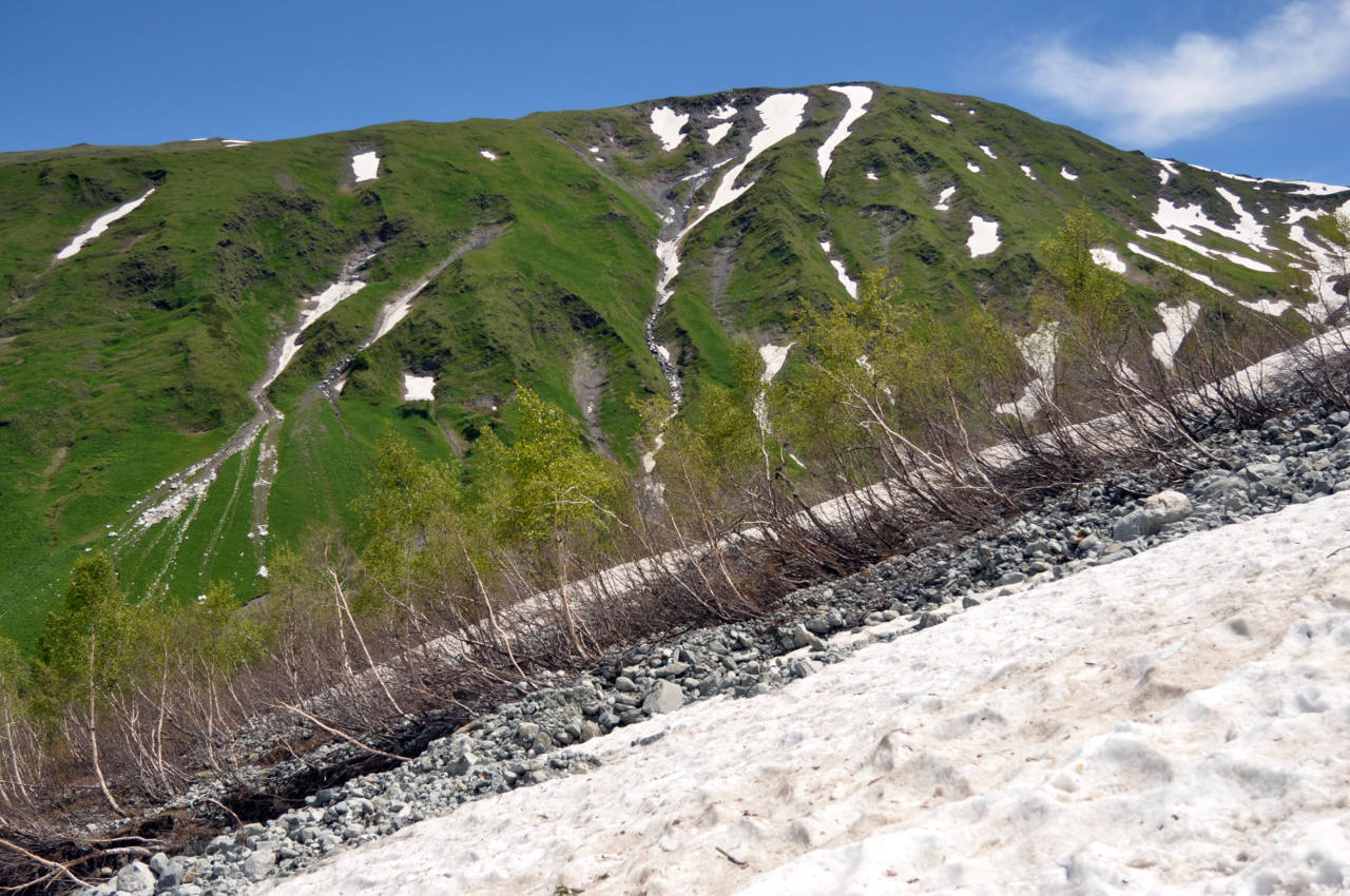 Долина реки София, image of landscape/habitat.