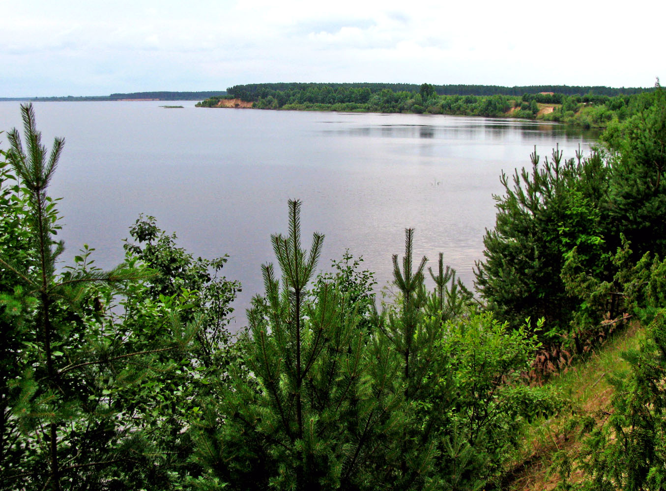 Рыбинское водохранилище, image of landscape/habitat.