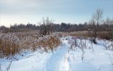 Image of landscape