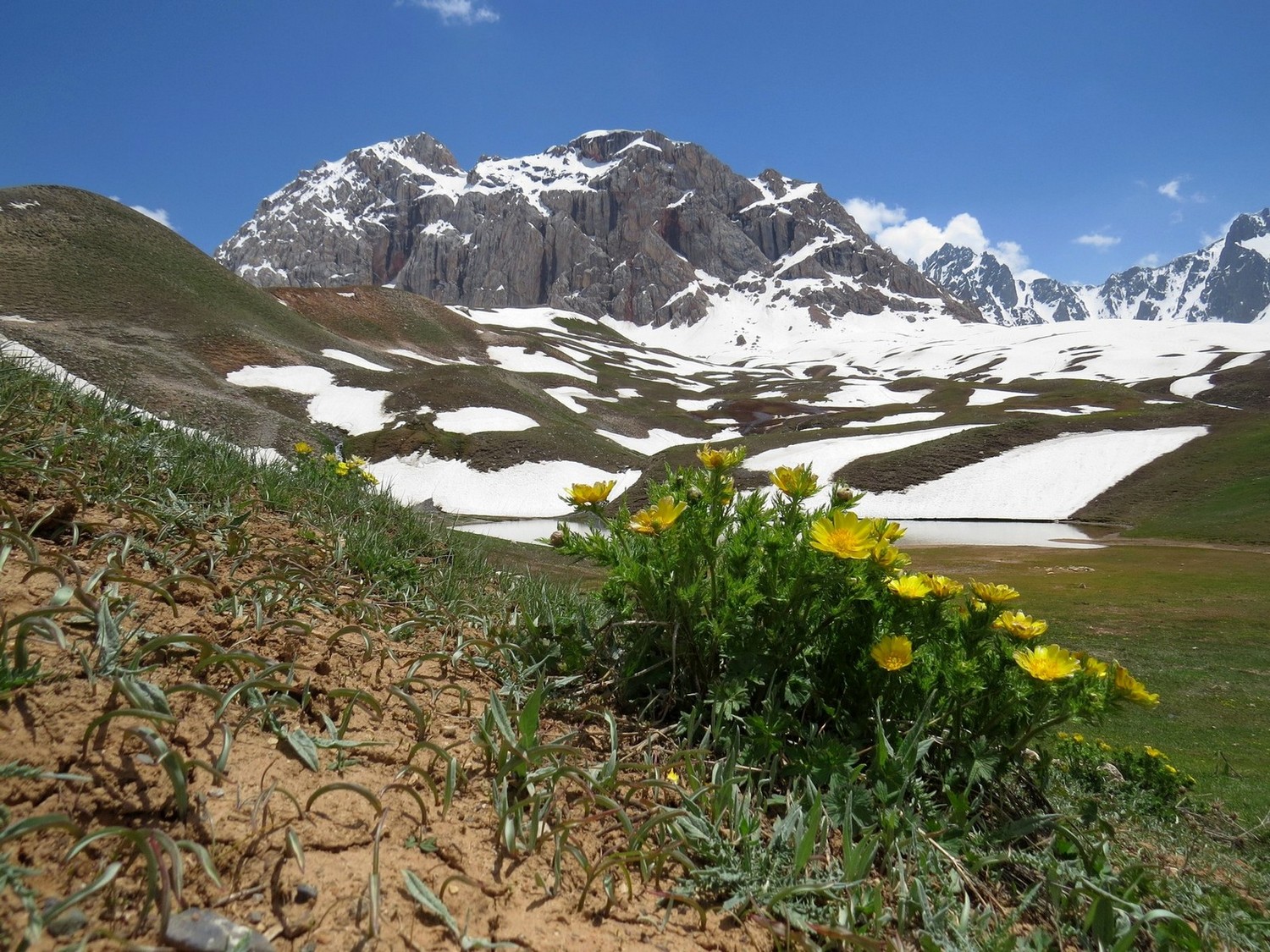 Верховья Зидды, image of landscape/habitat.