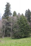 Image of landscape