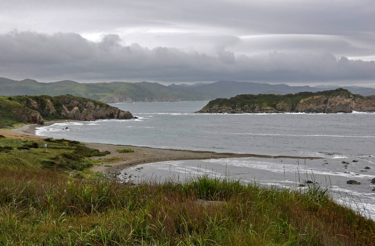 Бухта Тёплая и окрестности, image of landscape/habitat.