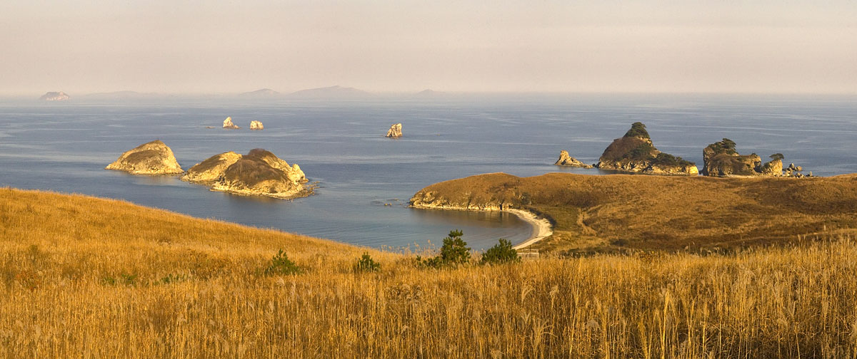 Полуостров Гамова, image of landscape/habitat.