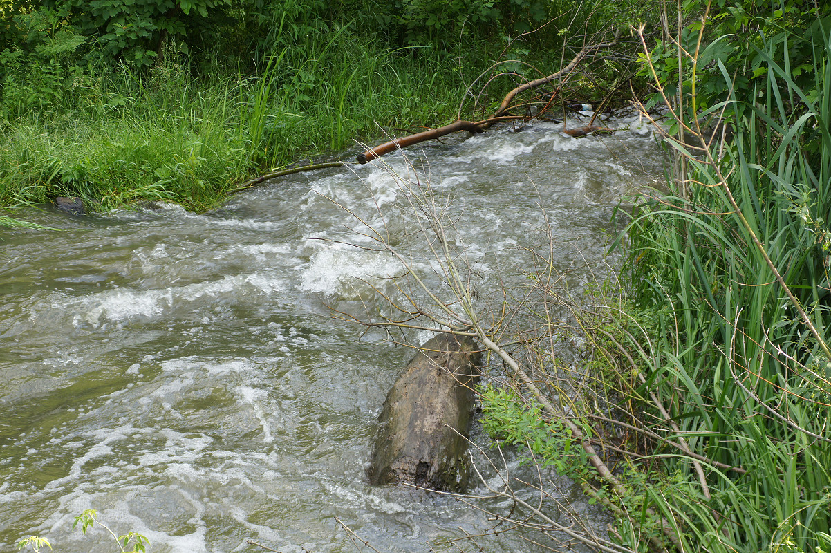 Верховье реки Кальмиус, image of landscape/habitat.