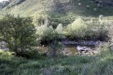 Image of landscape